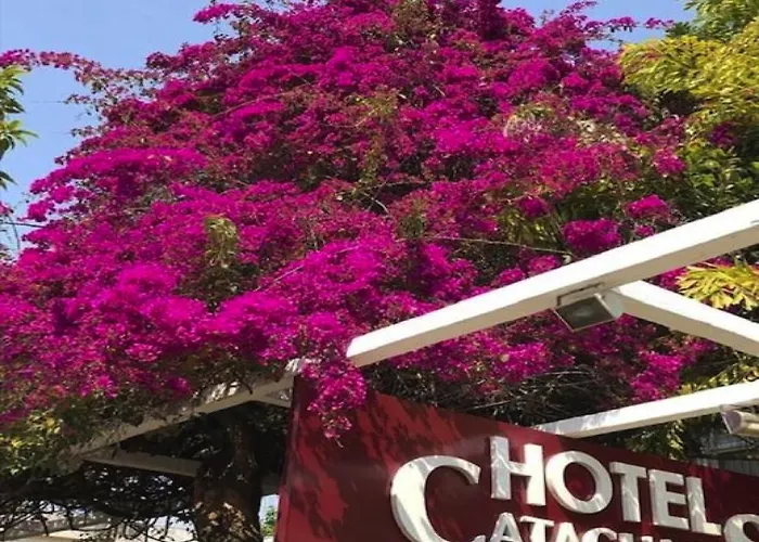 Hotel Cataguases